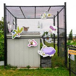 We All Grow Here, 2024